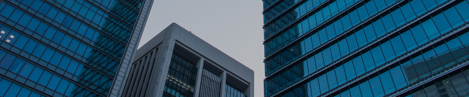 چین Shenzhen Xiaohongbao Technology Co., Ltd. مشخصات شرکت 